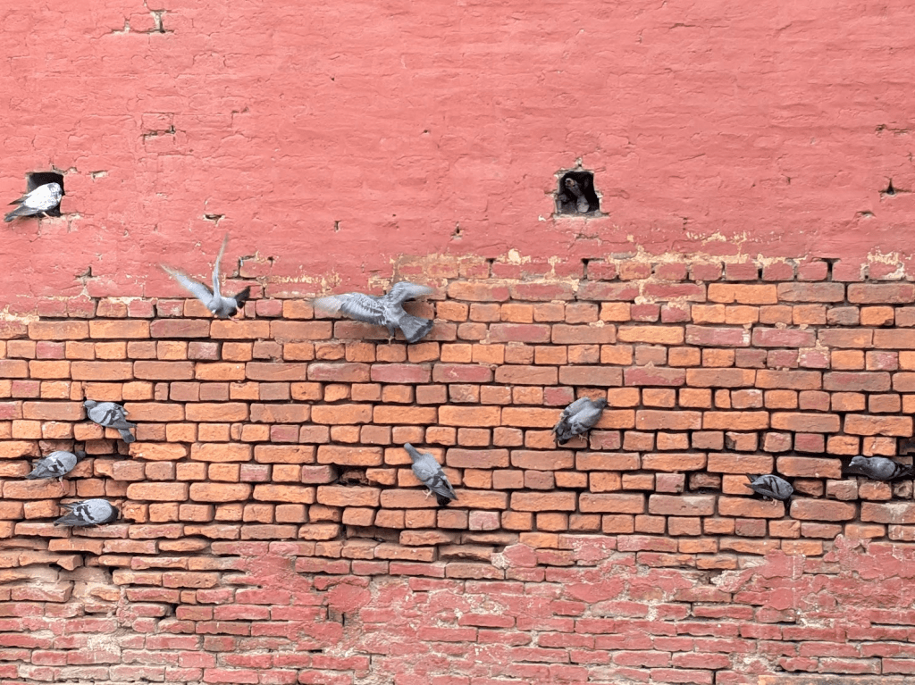 Dreams, Memories, and Imaginings